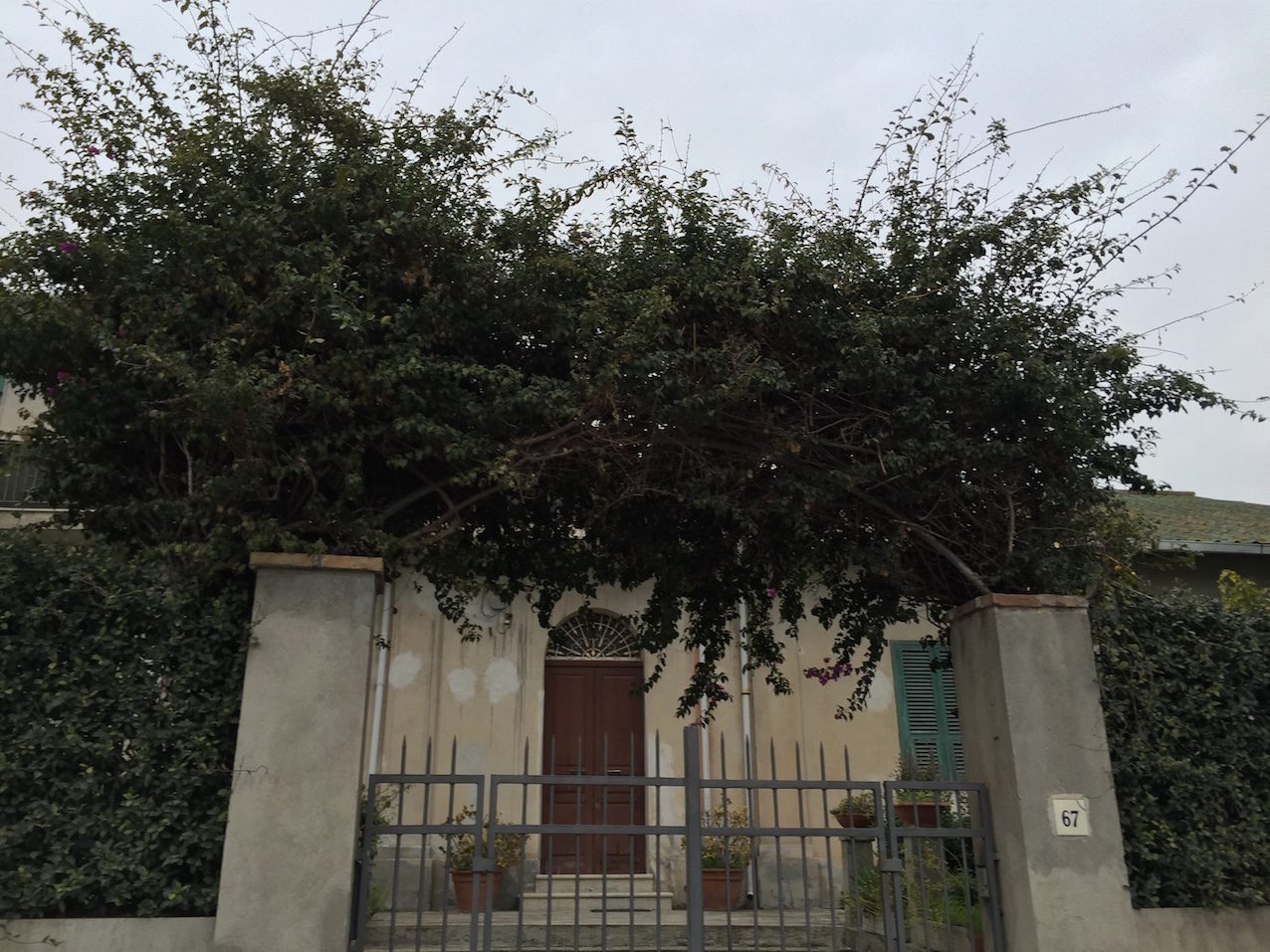 G.Ruffo Birthplace3250.JPG
